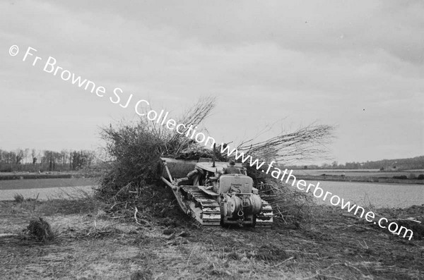 BULLDOZER  CLEARING SCRUB AND TREES